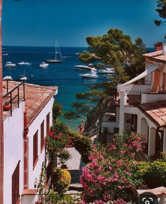 Screenshot_20230515_000742_Pinterest