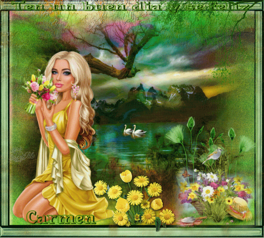 B DIA CISNES