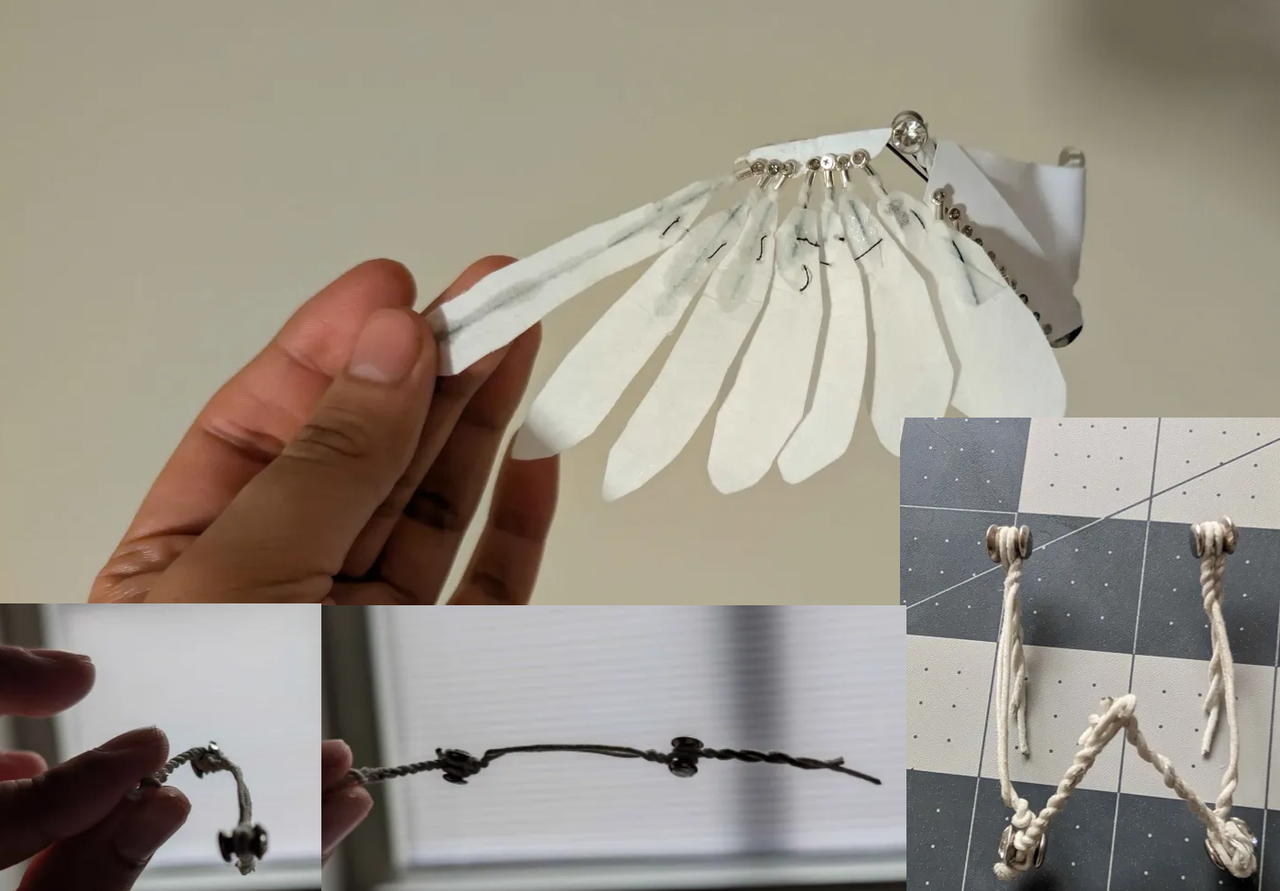 birb