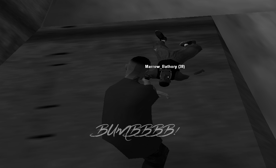 33.jpg