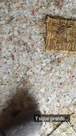bloggif-67e3e1d3125a0.gif