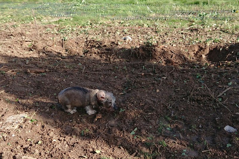 [Image: DSC-2023-11-02-2.jpg]