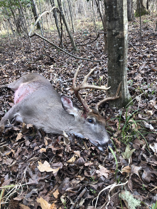 AB2BCAA6-168F-440D-892B-9EED6AA1BF8C