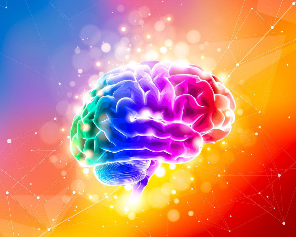 Come si riavvia il cervello umano dopo il coma o l'anestesia?