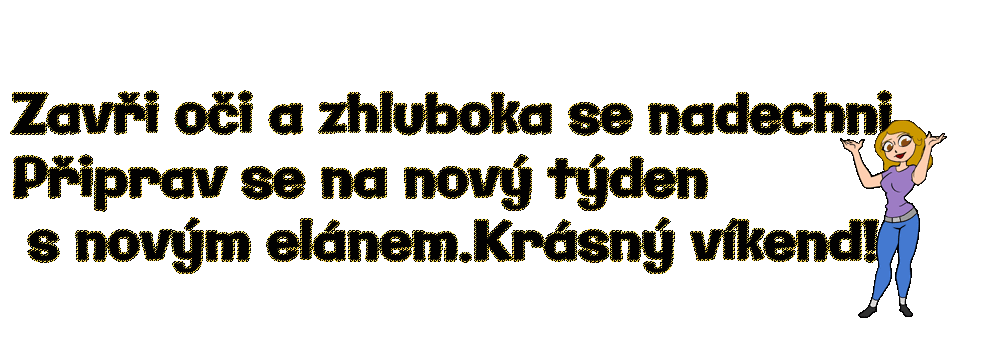 Nov-projekt-1.gif