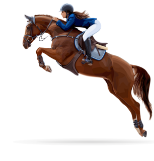 jumping-horse-illustration-1.png