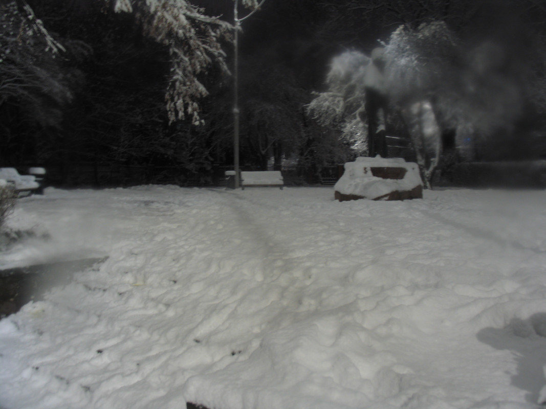 Ноябрь2023 057