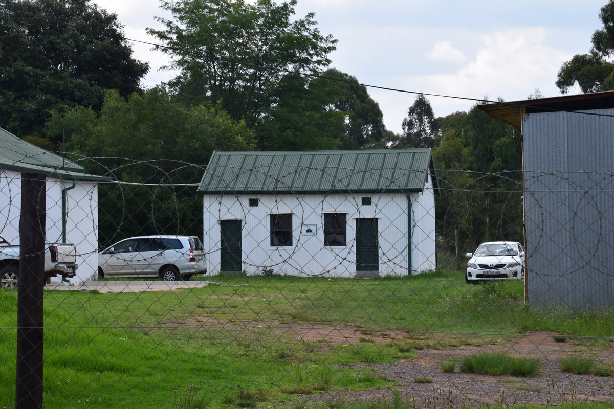 DSC_0353