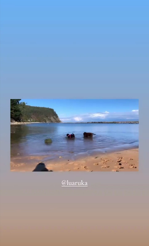 Screenshot_20210108_122942