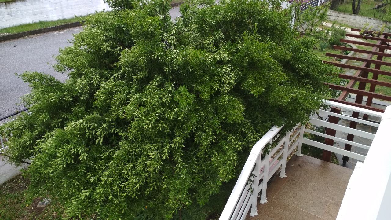 02B26493-F6C9-41AA-8051-95E2E3872FEF