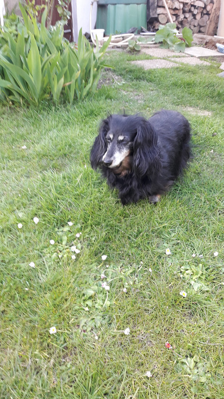 [Image: 20210415-175841.jpg]