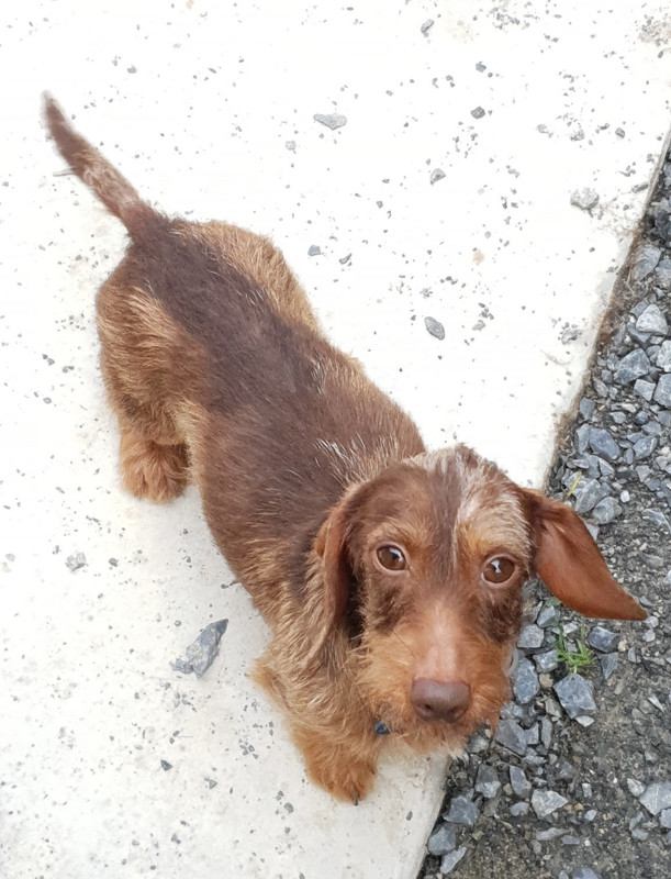 [Image: 20220113-151142.jpg]