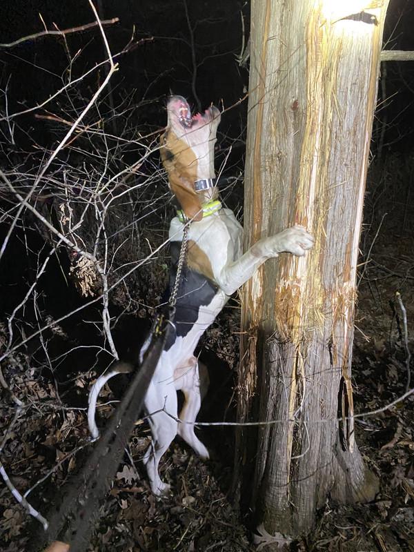 B8FD421E-4E30-48D5-AA77-EE6C216D55E3