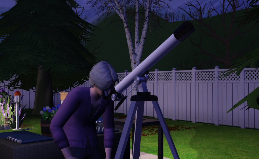 Sims2-EP9-RPC-2021-04-02-15-44-55-71