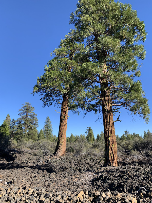 3EC8B892-3B09-49E5-958F-E6E3B3FD9065