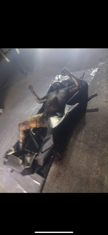 ۲۰۲۵۰۴۲۸_۰۵۲۹۵۳