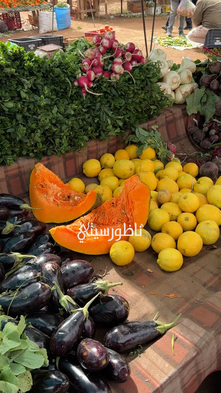 غلاء الاسعار-_2.00_04_33_14.Still006