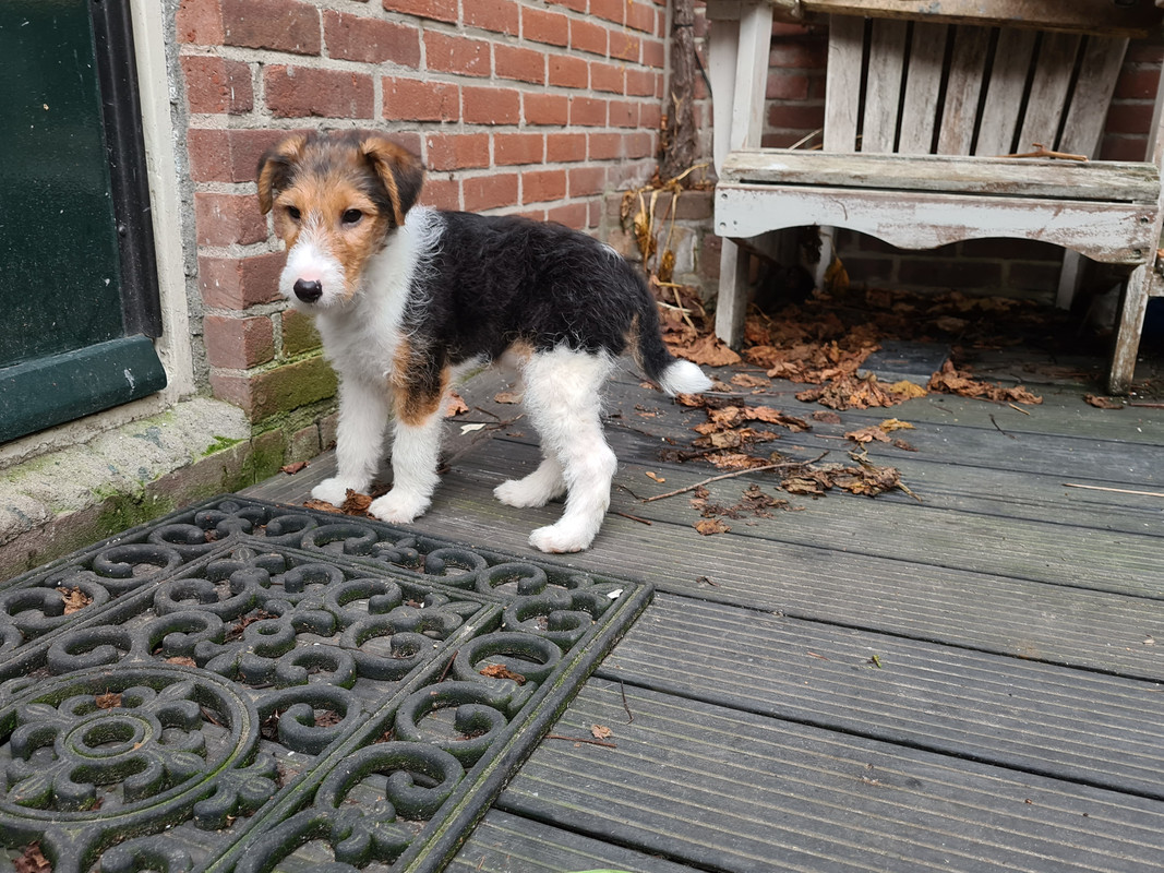 46CE3655-680F-411E-8416-09D6804E631B