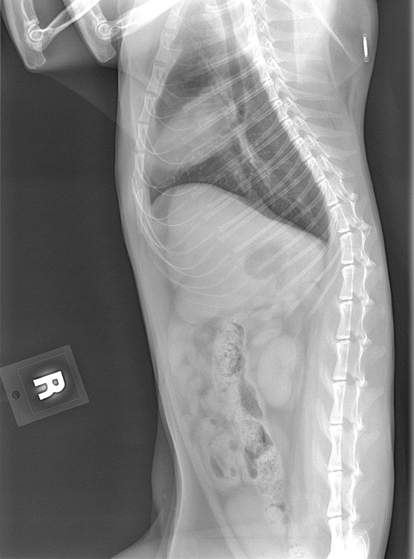 6D25136C-C2F3-4D66-928E-EE954BA054D8