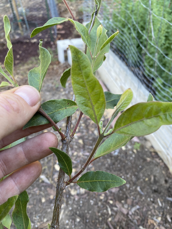 BF1594EB-5B3F-46EA-833F-8AE543480740