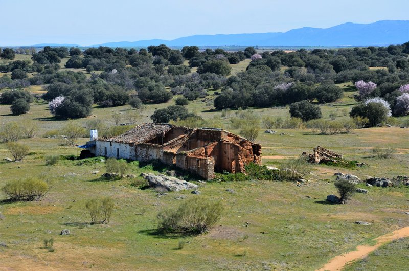 CASTILLO DE MONTALBAN-8-3-2015-TOLEDO - Pueblos y lugares abandonados/deshabitados-2011 AL 2024 (43)