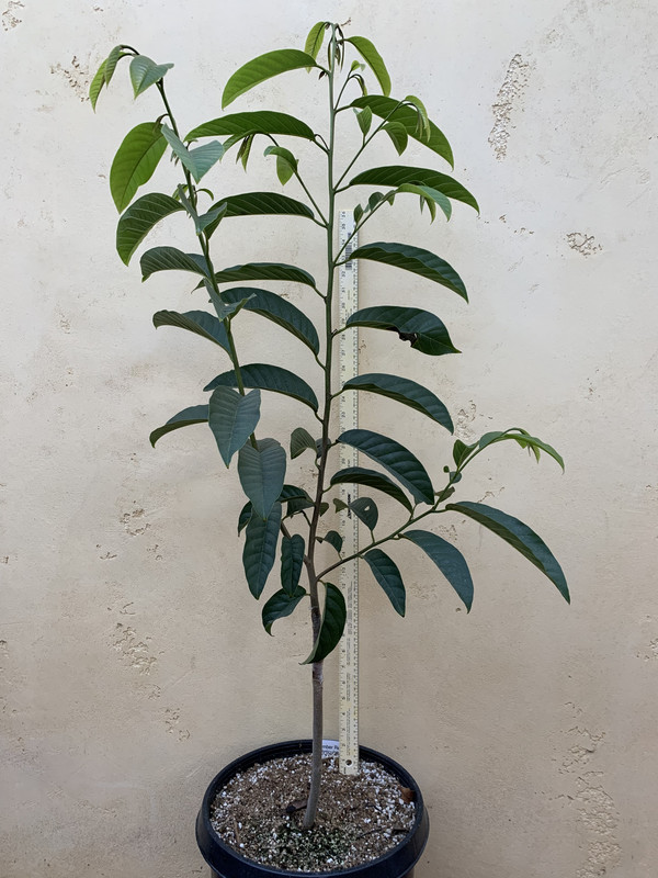 80DE293E-A29E-44FD-8ED1-BCD6D273CC45