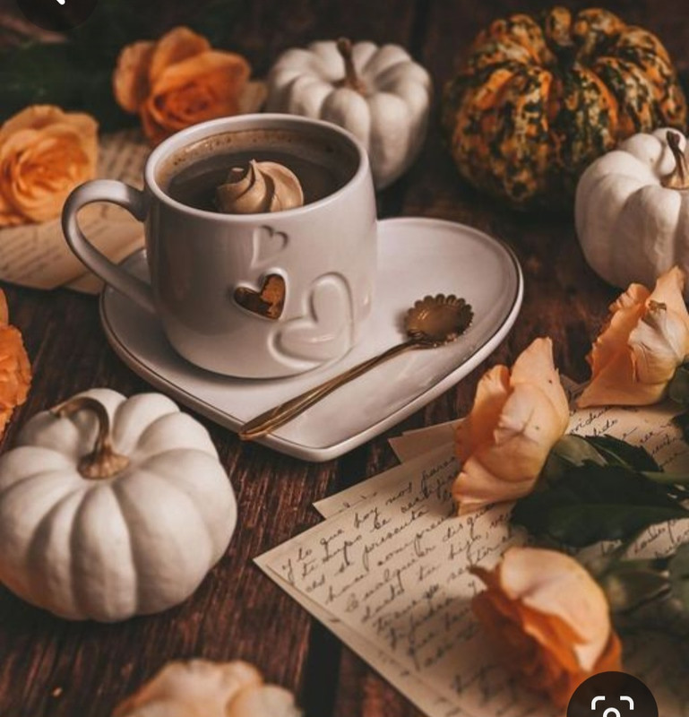 Screenshot_20230909_232924_Pinterest