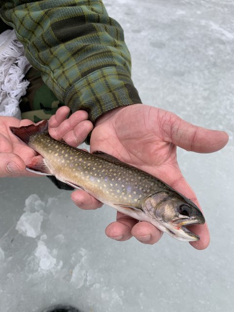 4A029AA9-4C65-453D-AF44-D5B3E2A89D1E