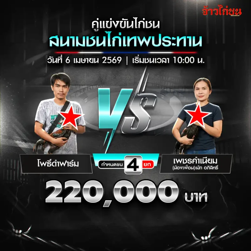 โพธิ์ดำฟาร์ม vs เพชรคำเนียม โปรแกรมไก่ชน สนามชนไก่เทพประทาน วันที่ 6 เมษายน 2569