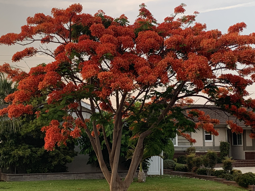 F47C7D49-1E69-4CEB-B5F6-153211E2BFF7