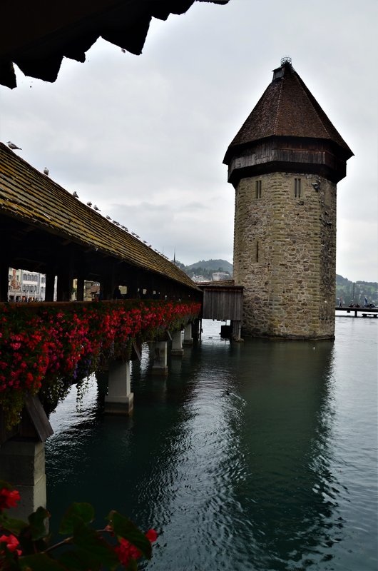 LUCERNA-5-9-2019 - Suiza y sus pueblos-2019 (8)