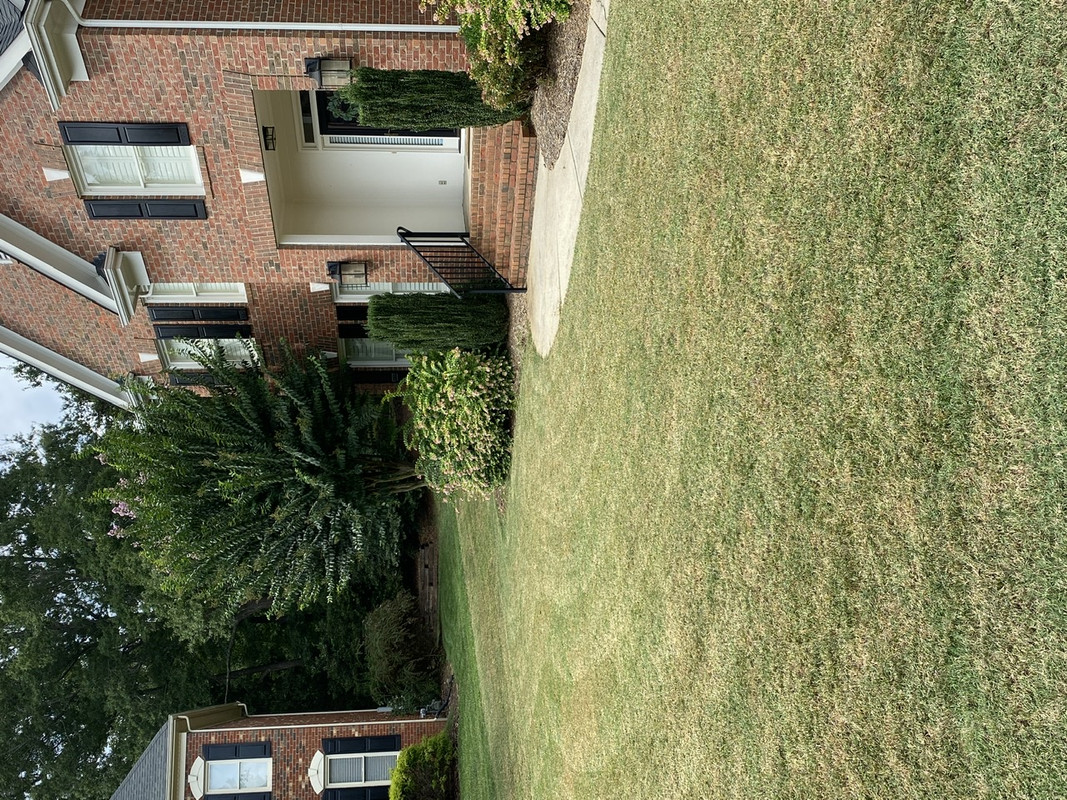 E4B1D686-C106-40F5-B9CB-621628B2D156