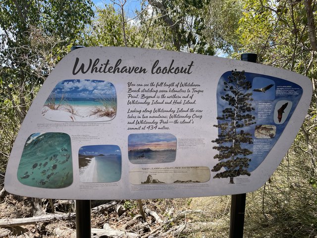 Excursión a las Whitsunday Islands - El abrazo a Pearl (3)
