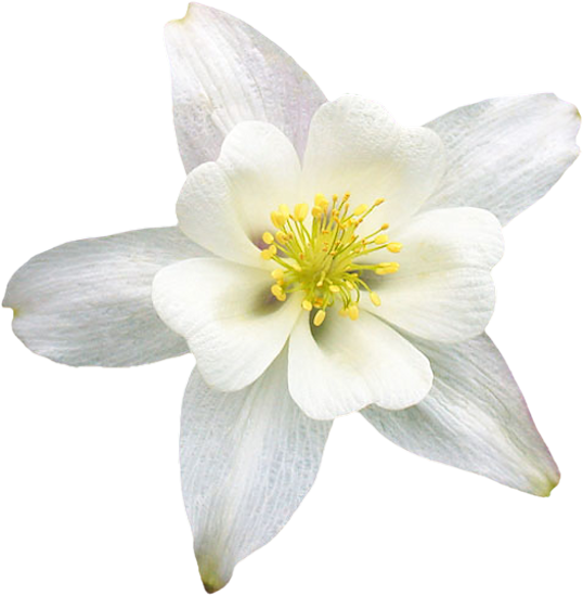 Mariposa_Kit_19