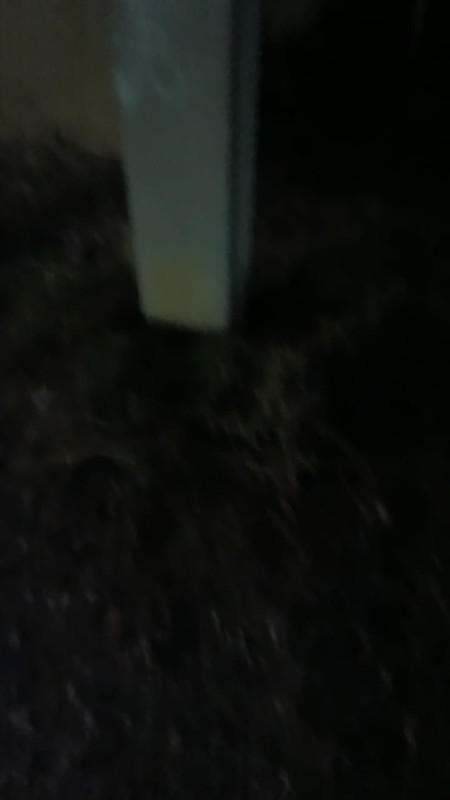 IMG-20250927-WA0089