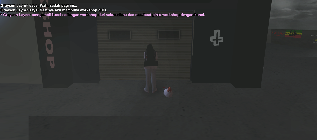 samp-29-10-2024-04-32-32.png