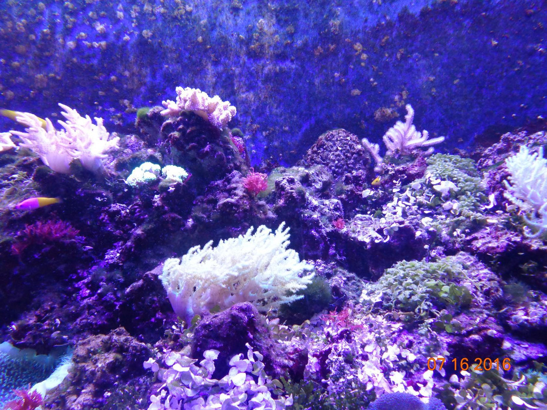 image - 2020-11-14T154305.121