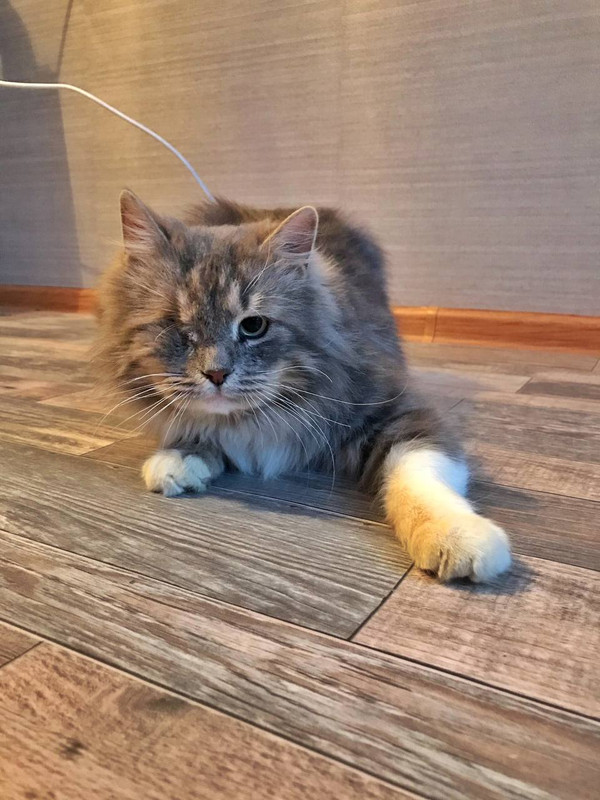 3F929054-C509-47F6-83C5-0FAC9B32F7FD