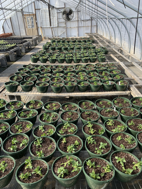 992D4CDB-9BA6-487C-A5AB-8E19D570EE31