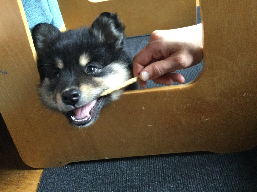 94CE9C99-BDFA-4E66-BA14-953844FE7AD2