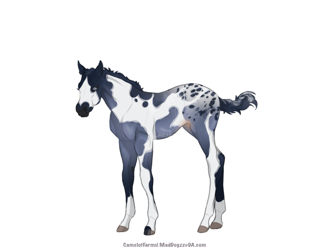 E6029-B38-A30-A-41-A0-8-E54-F3-E1-CF71-E72-F.png