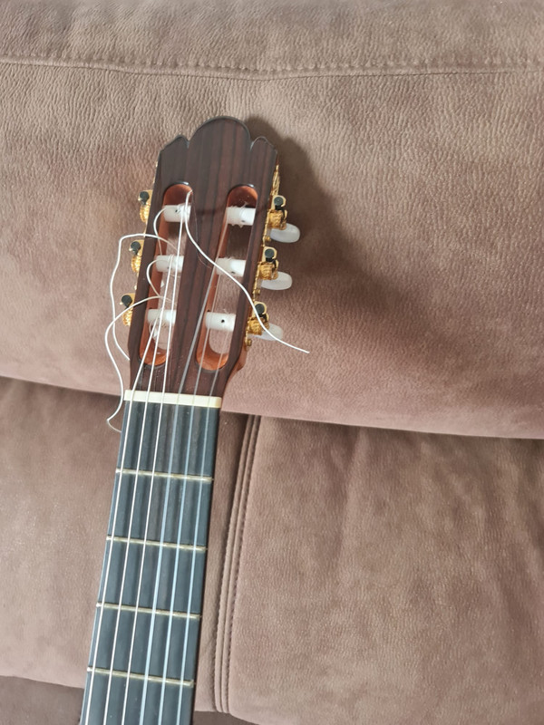 9b933b3e-b8da-44d9-919d-dcf0627f2e58