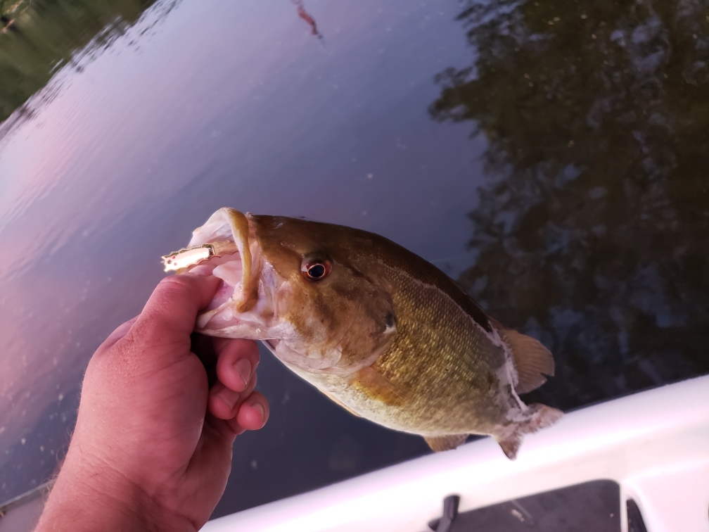 Resized_20190618_204201
