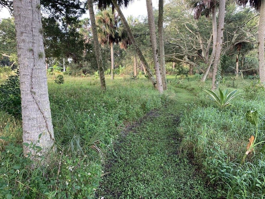 38276C87-037C-4A8B-922B-7B8B6FC7A78B