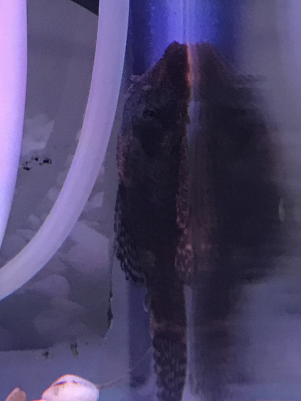 3696241F-A58D-4238-A3AC-FC7EEBF1D0B7