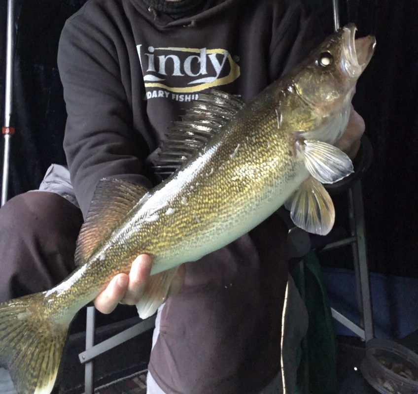 9EDB461C-289C-4860-BA1B-291C9CED9963