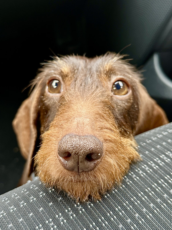 [Image: IMG-4636.jpg]