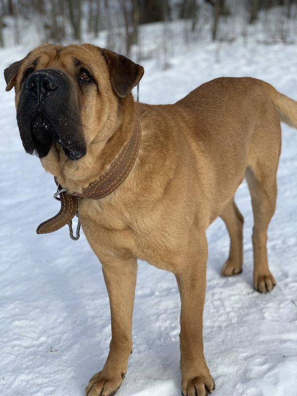 5E74F2C8-B68F-475D-9608-65A7CC585C61