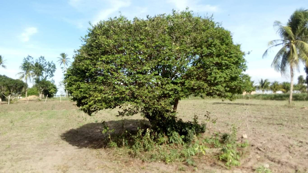 WhatsApp Image 2020-12-09 at 04.00.22 (2)