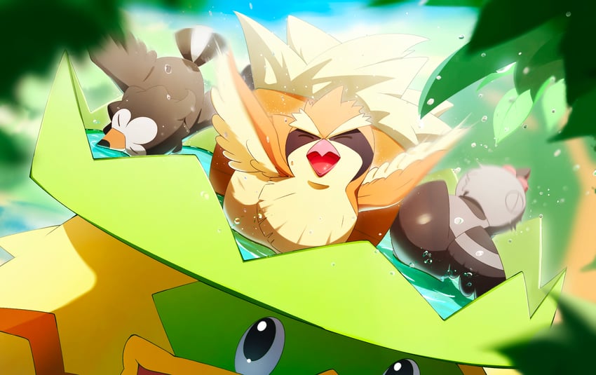 pidgey-starly-pidove-and-ludicolo-pokemo